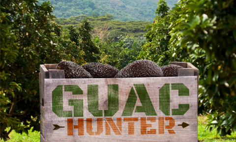 Free Chipotle Guac and Chips Playing the Guac Hunter Game